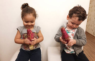 Minha batata-doce: atividade de investigação amplia habilidades de comunicação