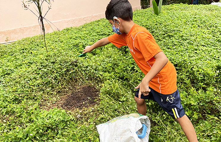 Alunos plantaram mudas de Pau-Brasil, em continuidade às comemorações de 75 anos da FRSP