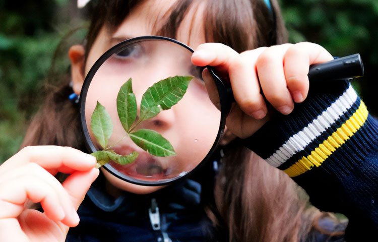 Semana do Meio Ambiente